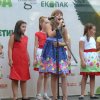 Стара хартия за нова книга